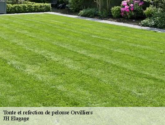 Tonte et refection de pelouse  orvilliers-78910 JH Elagage