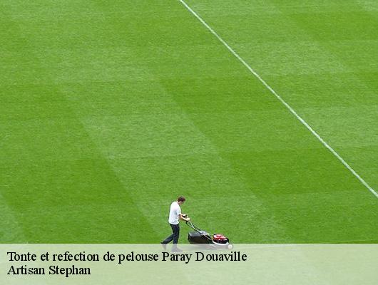 Tonte et refection de pelouse  78660