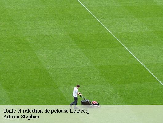 Tonte et refection de pelouse  78230