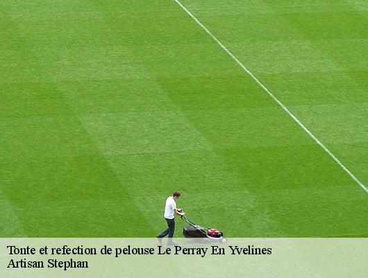 Tonte et refection de pelouse  78610