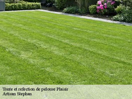 Tonte et refection de pelouse  plaisir-78370 Artisan Stephan
