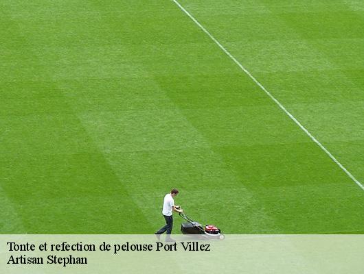 Tonte et refection de pelouse 78270