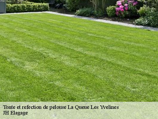 Tonte et refection de pelouse  la-queue-les-yvelines-78940 JH Elagage
