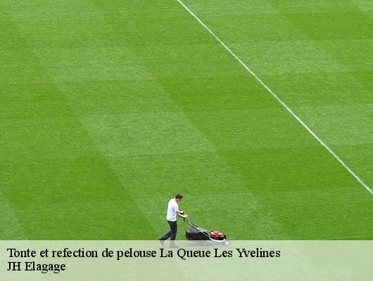 Tonte et refection de pelouse  78940