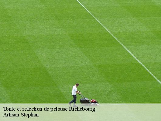 Tonte et refection de pelouse  78550