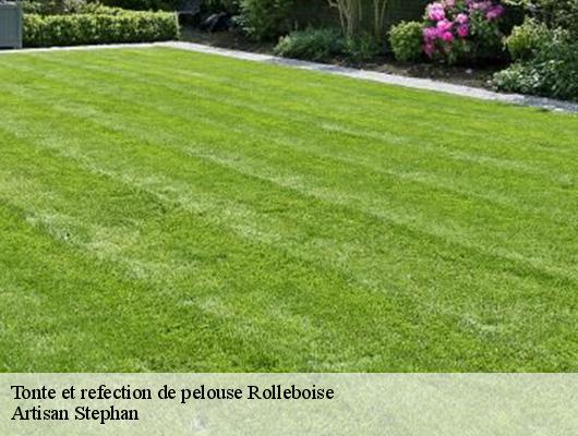Tonte et refection de pelouse  rolleboise-78270 Artisan Stephan