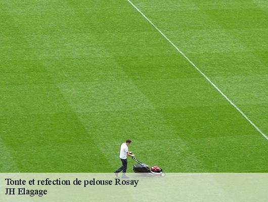 Tonte et refection de pelouse  78790