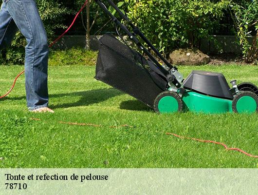 Tonte et refection de pelouse  78710