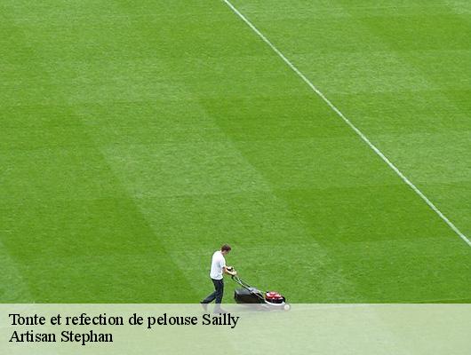 Tonte et refection de pelouse  78440