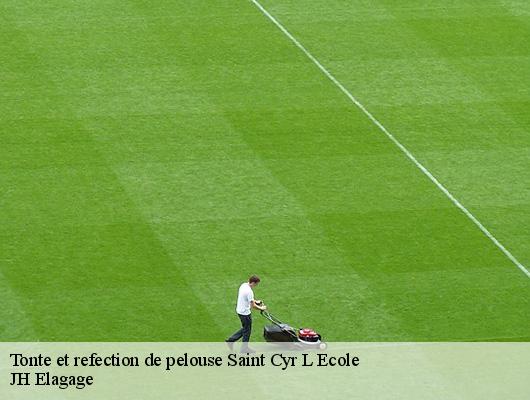 Tonte et refection de pelouse  78210