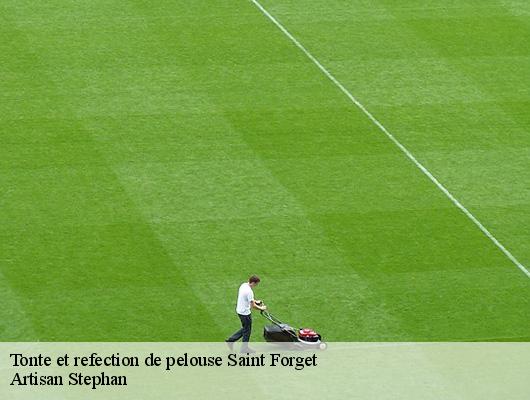 Tonte et refection de pelouse  78720