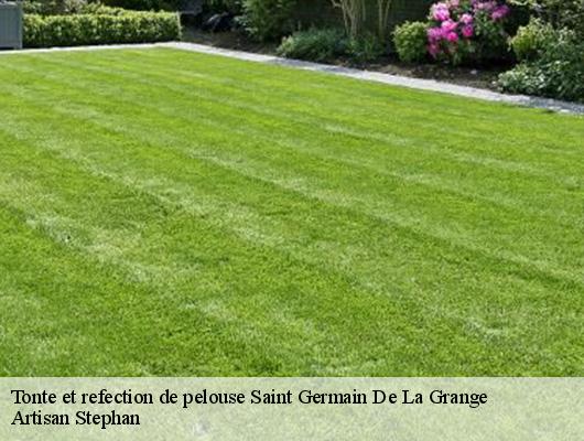 Tonte et refection de pelouse  saint-germain-de-la-grange-78640 Artisan Stephan
