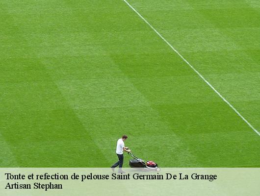 Tonte et refection de pelouse  78640