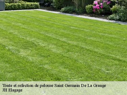 Tonte et refection de pelouse  saint-germain-de-la-grange-78640 JH Elagage