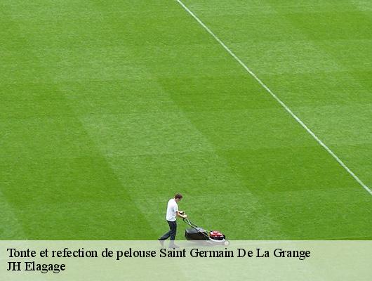 Tonte et refection de pelouse  78640