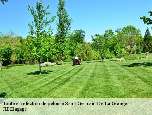 Tonte et refection de pelouse
