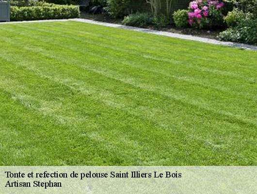 Tonte et refection de pelouse  saint-illiers-le-bois-78980 Artisan Stephan