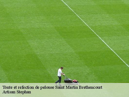 Tonte et refection de pelouse  78660