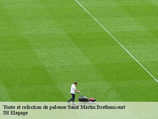 Tonte et refection de pelouse  78660
