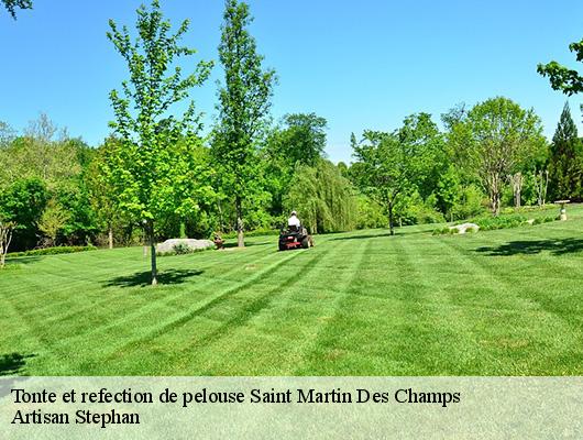 Tonte et refection de pelouse