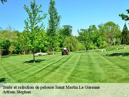 Tonte et refection de pelouse