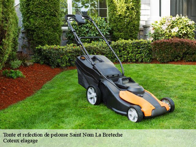 Tonte et refection de pelouse  saint-nom-la-breteche-78860 Coteux elagage