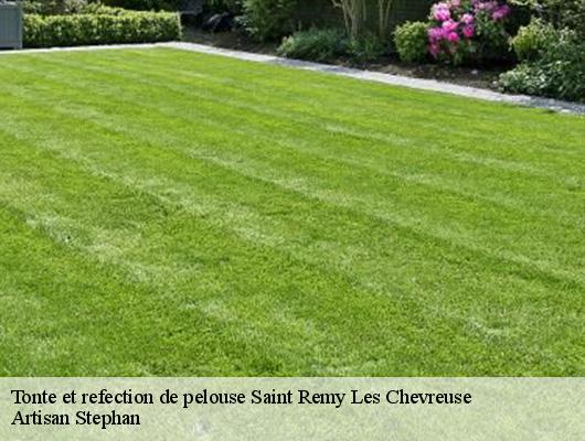 Tonte et refection de pelouse  saint-remy-les-chevreuse-78470 Artisan Stephan