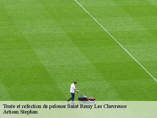 Tonte et refection de pelouse  78470