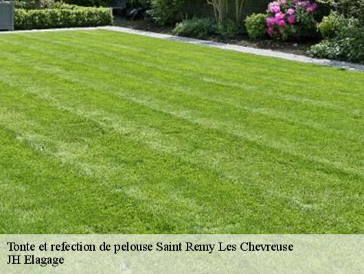 Tonte et refection de pelouse  saint-remy-les-chevreuse-78470 JH Elagage