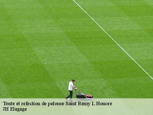 Tonte et refection de pelouse  78690