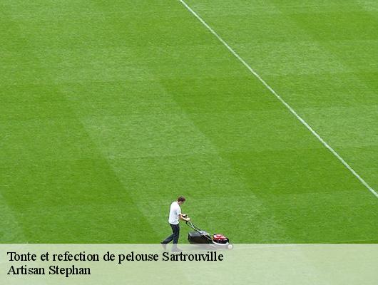 Tonte et refection de pelouse  78500