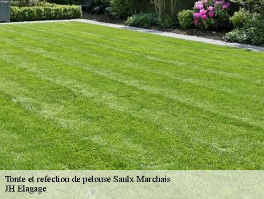 Tonte et refection de pelouse  saulx-marchais-78650 JH Elagage