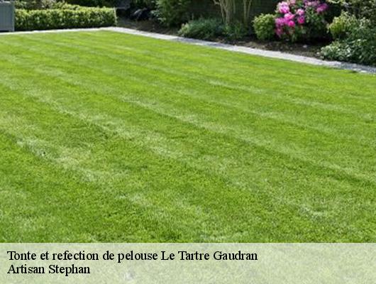 Tonte et refection de pelouse  le-tartre-gaudran-78113 Artisan Stephan