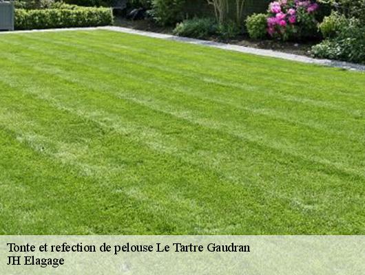 Tonte et refection de pelouse  le-tartre-gaudran-78113 JH Elagage