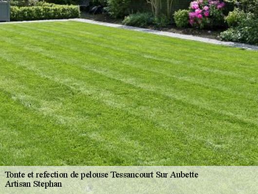 Tonte et refection de pelouse tessancourt-sur-aubette-78250 Artisan Stephan