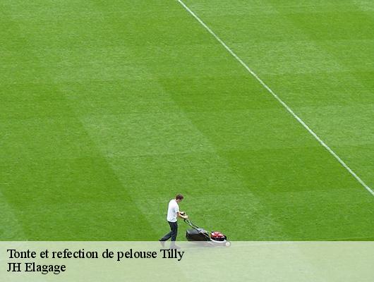 Tonte et refection de pelouse  78790