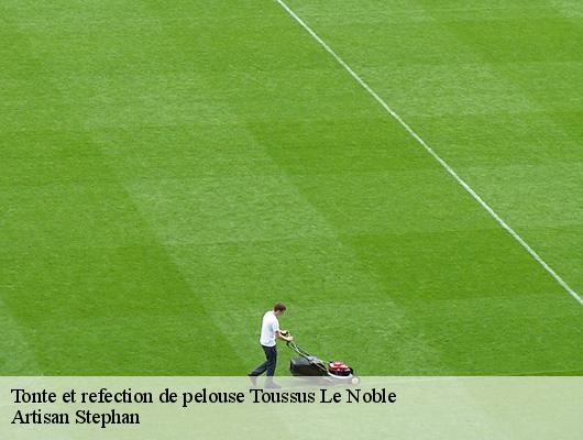 Tonte et refection de pelouse  78117