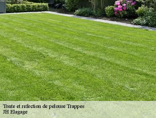 Tonte et refection de pelouse  trappes-78190 JH Elagage