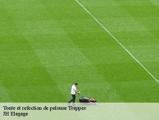 Tonte et refection de pelouse  78190