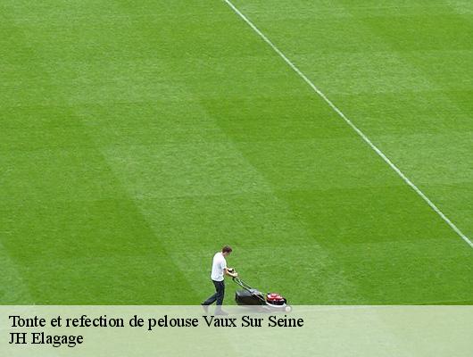 Tonte et refection de pelouse  78740