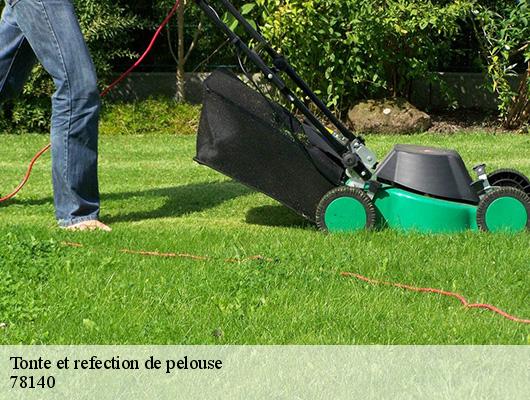 Tonte et refection de pelouse  78140