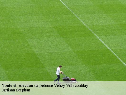 Tonte et refection de pelouse  78140