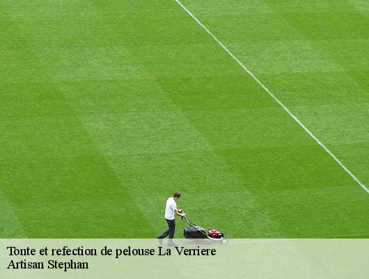 Tonte et refection de pelouse  78320