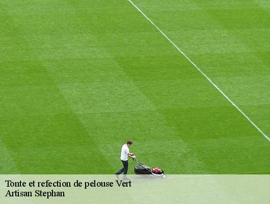 Tonte et refection de pelouse 78930