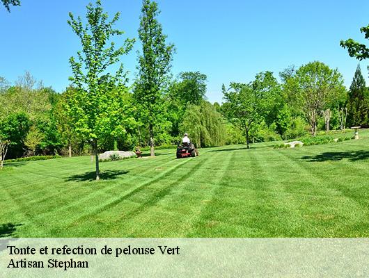 Tonte et refection de pelouse