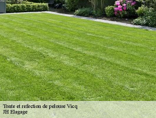 Tonte et refection de pelouse  vicq-78490 JH Elagage