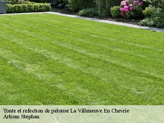Tonte et refection de pelouse  la-villeneuve-en-chevrie-78270 Artisan Stephan
