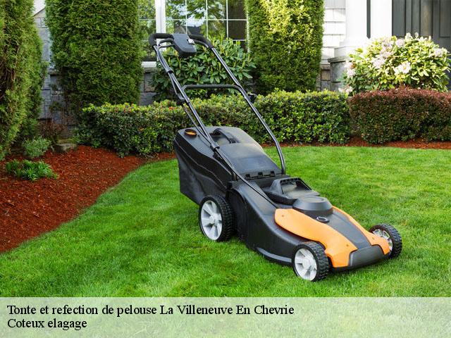 Tonte et refection de pelouse la-villeneuve-en-chevrie-78270 Coteux elagage