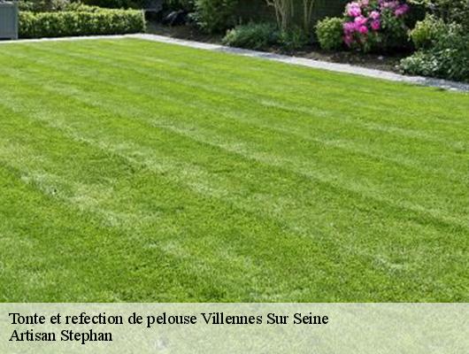 Tonte et refection de pelouse  villennes-sur-seine-78670 Artisan Stephan