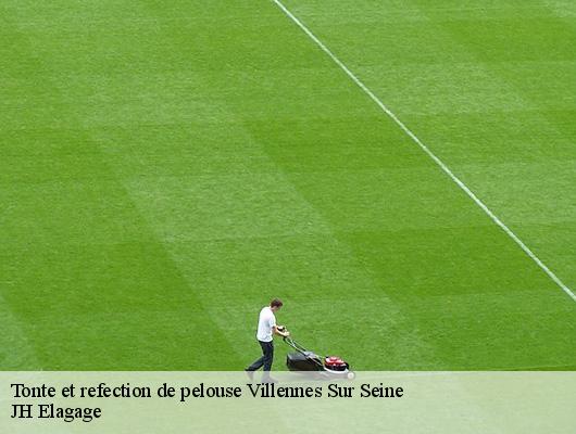 Tonte et refection de pelouse  78670